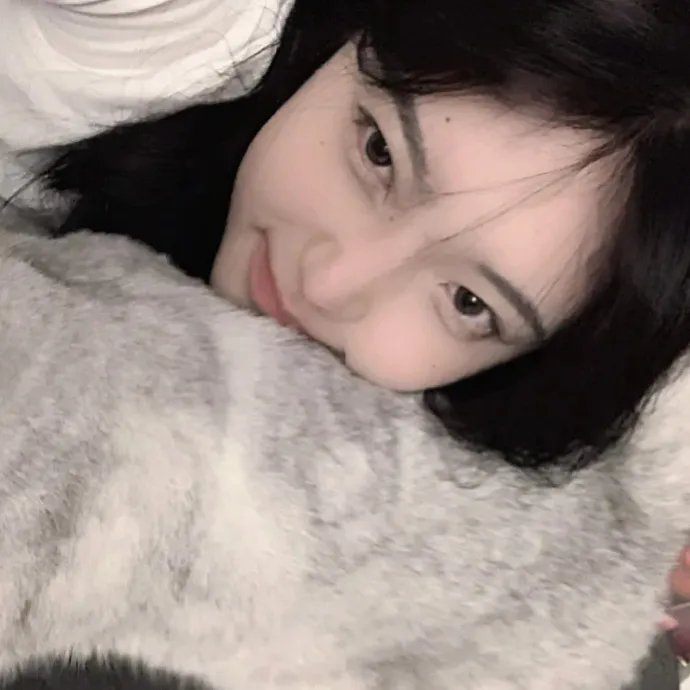 动物频道 在线观看